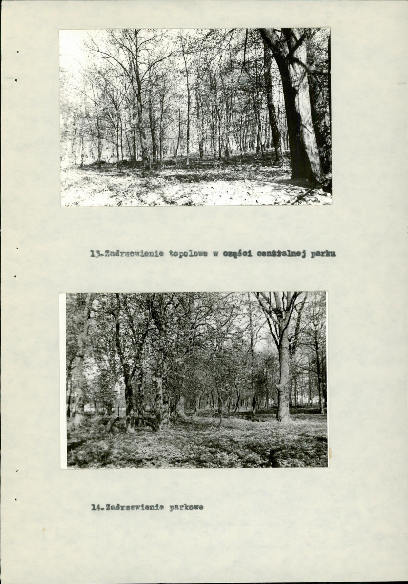 Ewidencja parkowa, skan nr 29