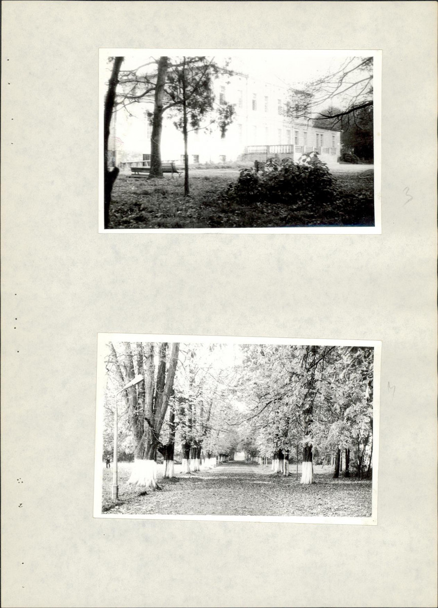 Ewidencja parkowa, skan nr 28
