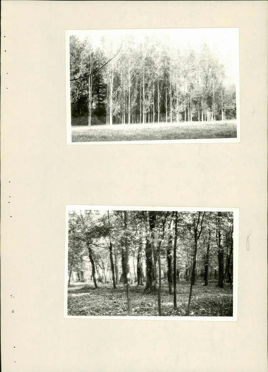 Ewidencja parkowa, skan nr 30
