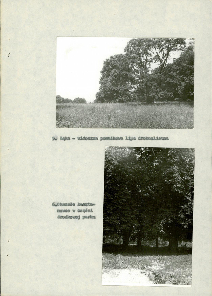 Ewidencja parkowa, skan nr 25