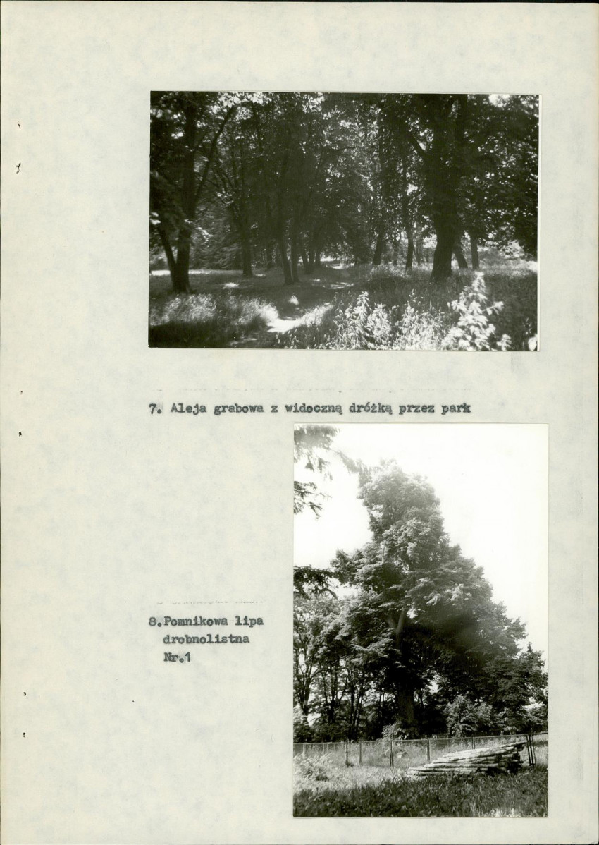 Ewidencja parkowa, skan nr 26