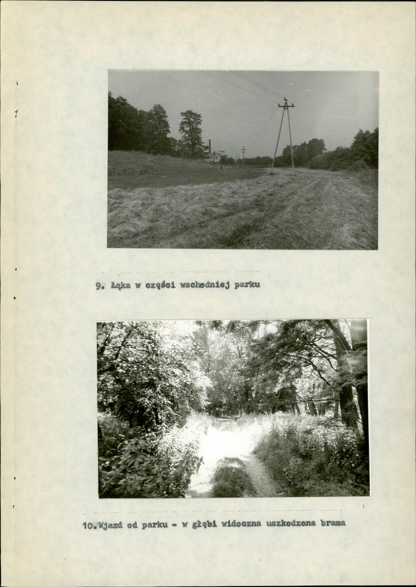 Ewidencja parkowa, skan nr 27