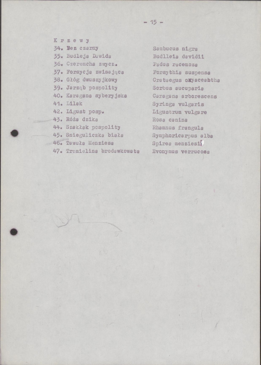 Ewidencja parkowa, skan nr 22