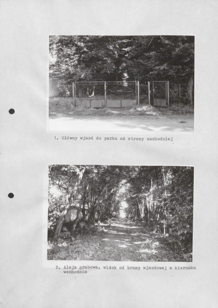 Ewidencja parkowa, skan nr 28