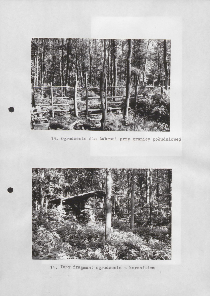 Ewidencja parkowa, skan nr 34