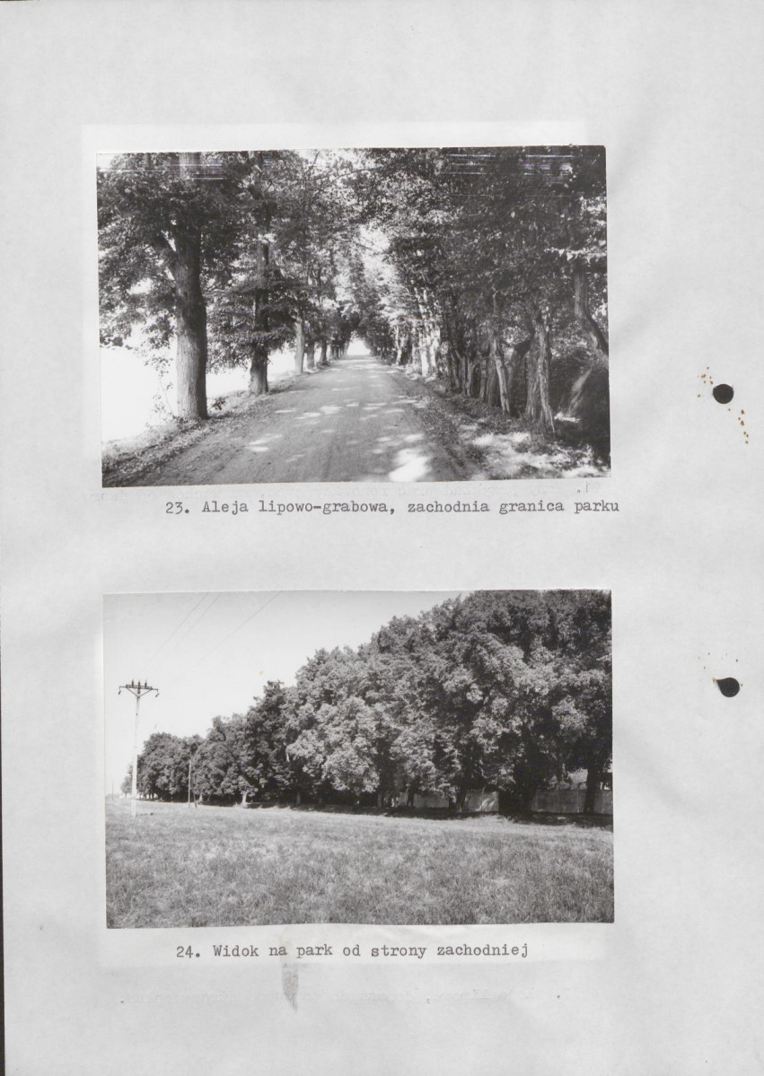 Ewidencja parkowa, skan nr 39