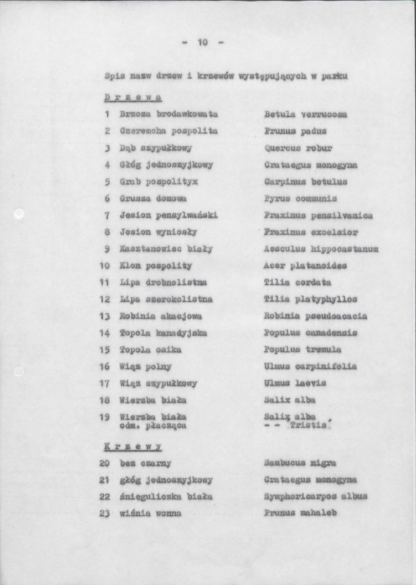 Ewidencja parkowa, skan nr 16