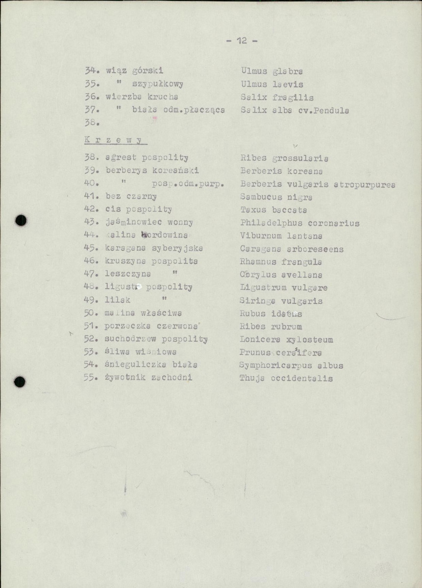 Ewidencja parkowa, skan nr 20