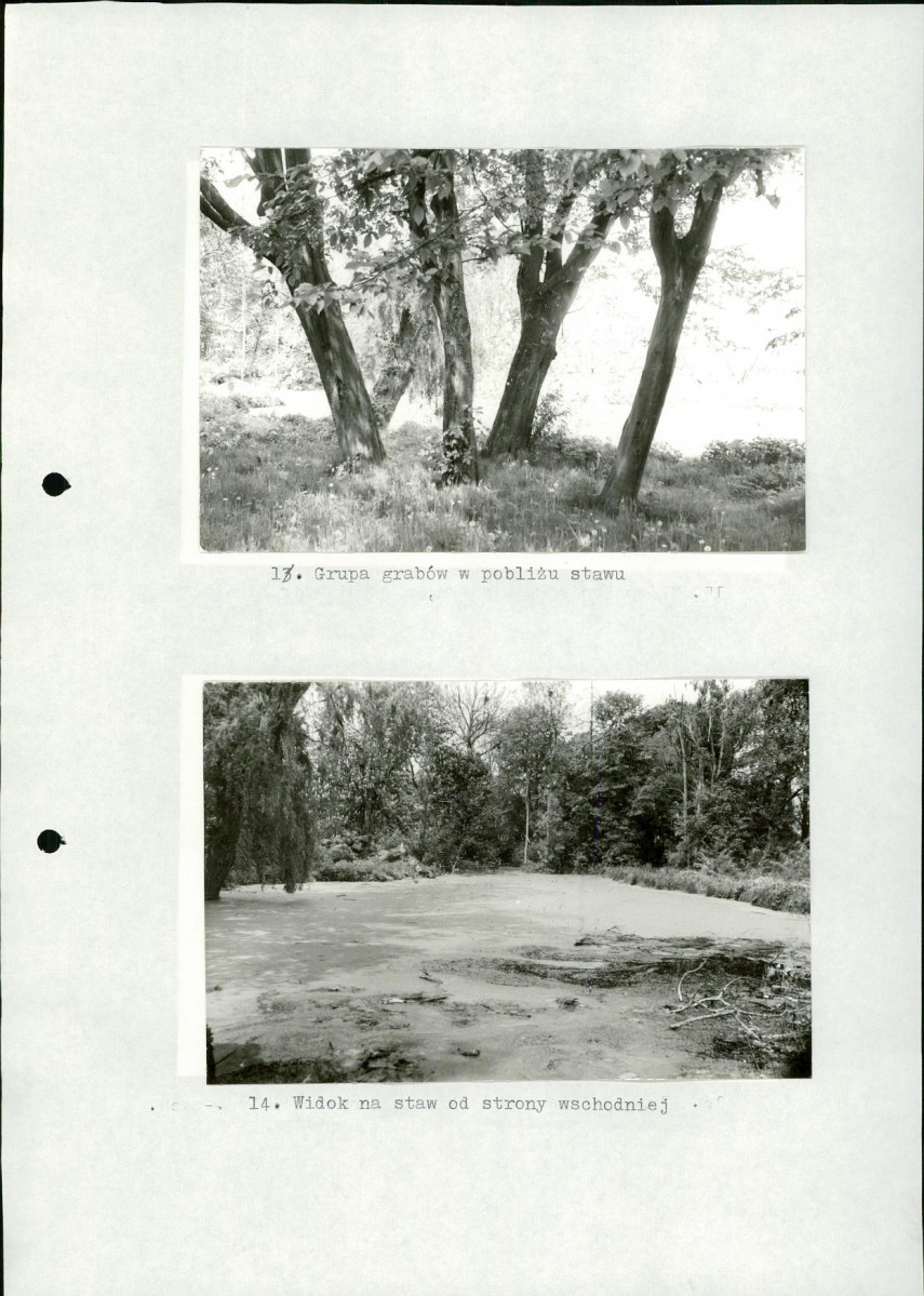 Ewidencja parkowa, skan nr 33