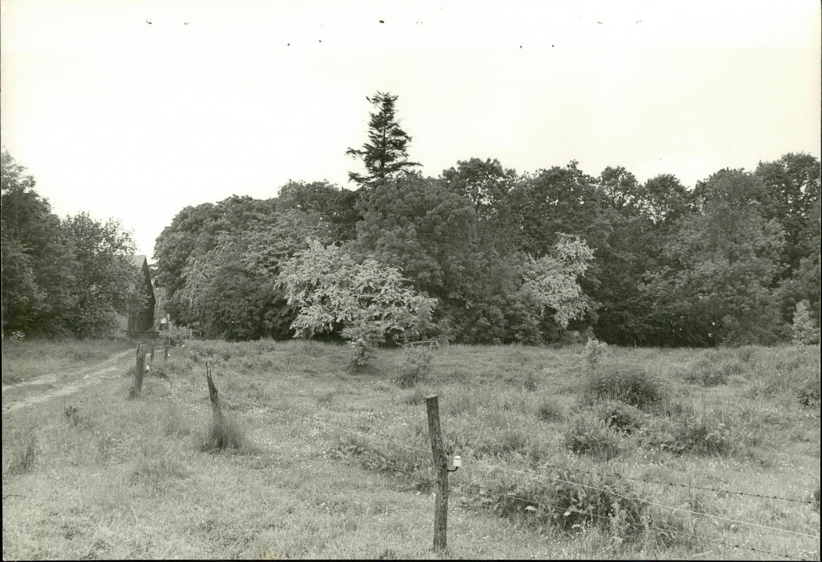 Ewidencja parkowa, skan nr 17