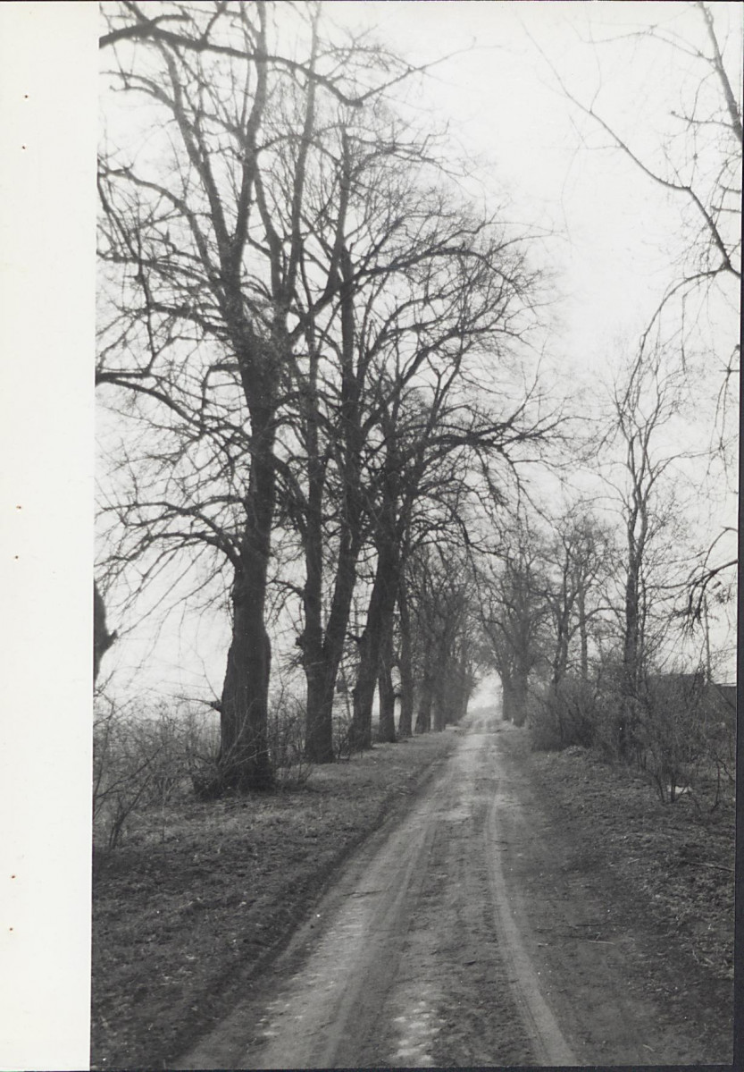 EP - Ewidencja parkowa, skan nr 34