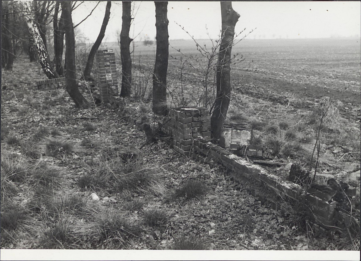 EP - Ewidencja parkowa, skan nr 42