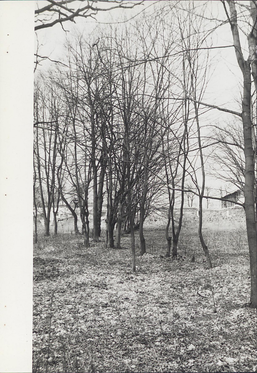 EP - Ewidencja parkowa, skan nr 44