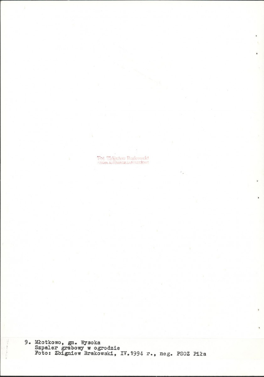 EP - Ewidencja parkowa, skan nr 47