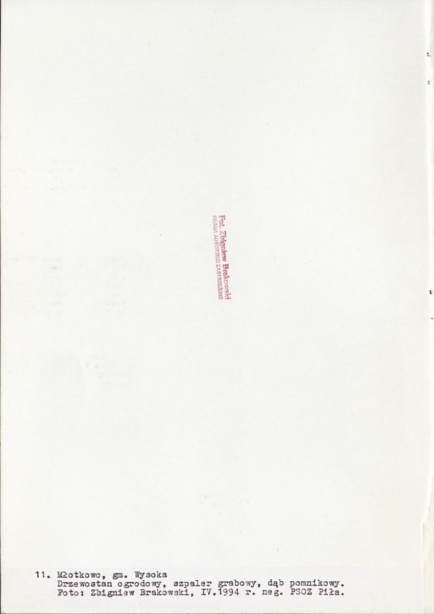 EP - Ewidencja parkowa, skan nr 49