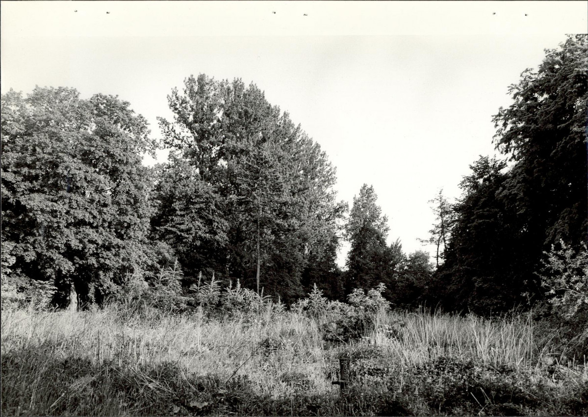 Ewidencja parkowa, skan nr 34