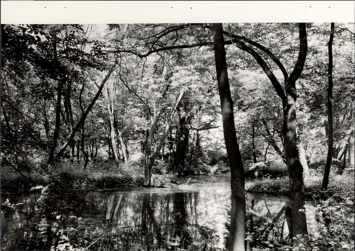 EP - Ewidencja parkowa, skan nr 28