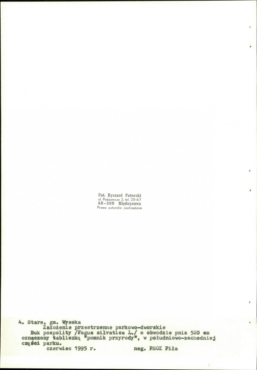 EP - Ewidencja parkowa, skan nr 31