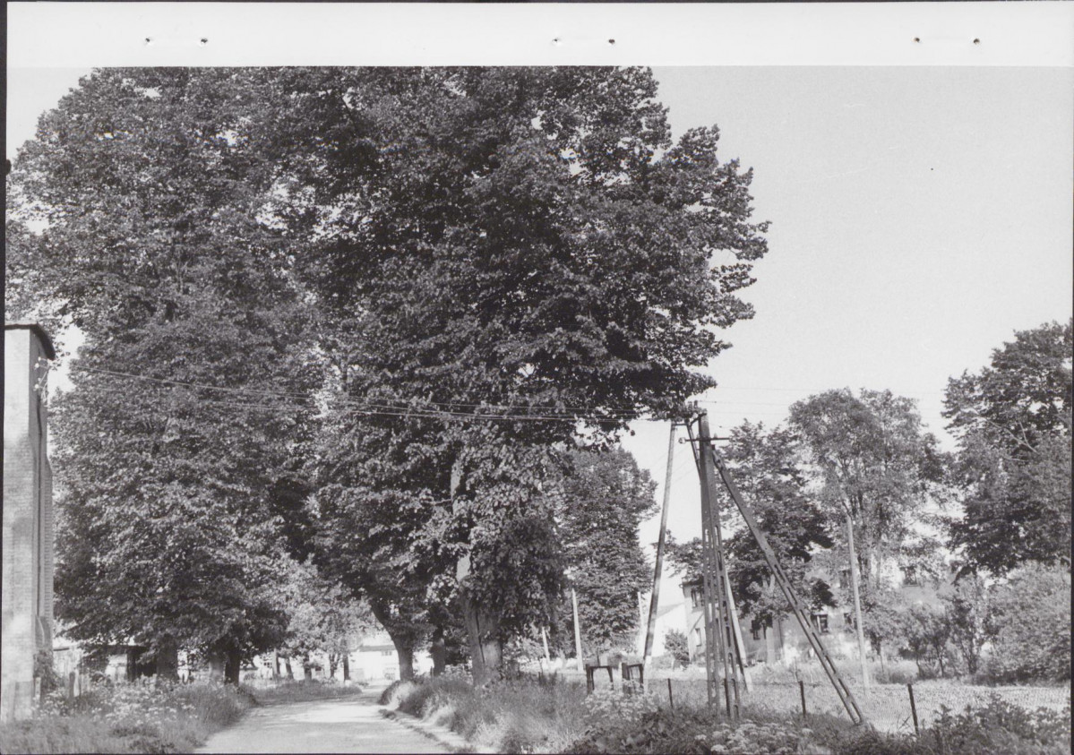 Ewidencja parkowa, skan nr 18