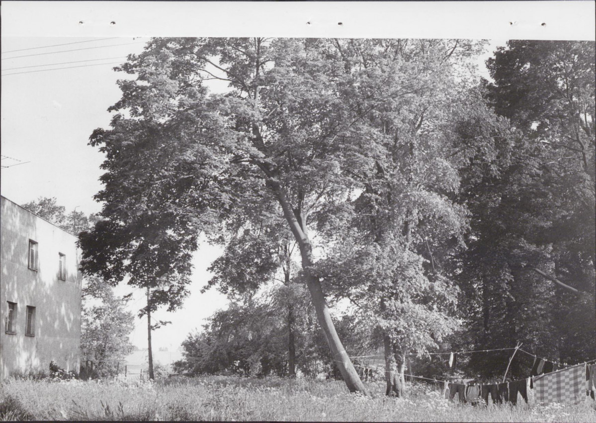 Ewidencja parkowa, skan nr 20