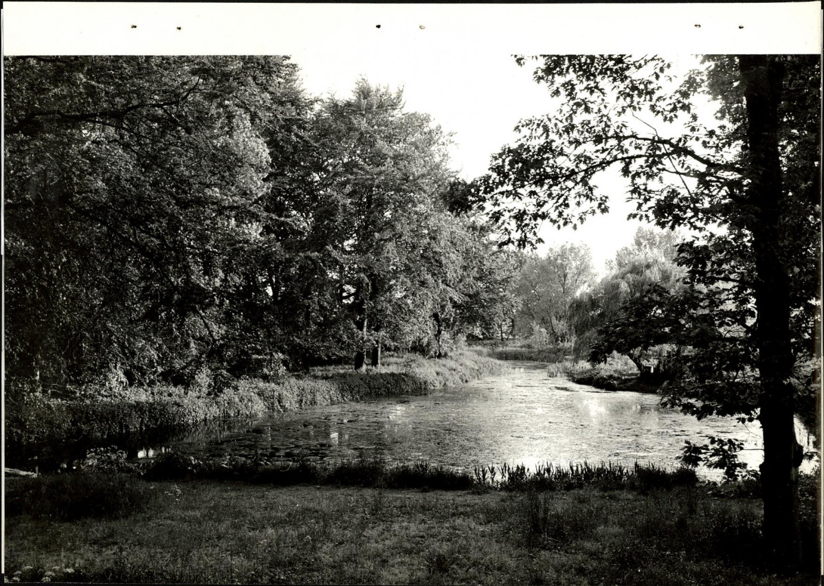 Ewidencja parkowa, skan nr 21