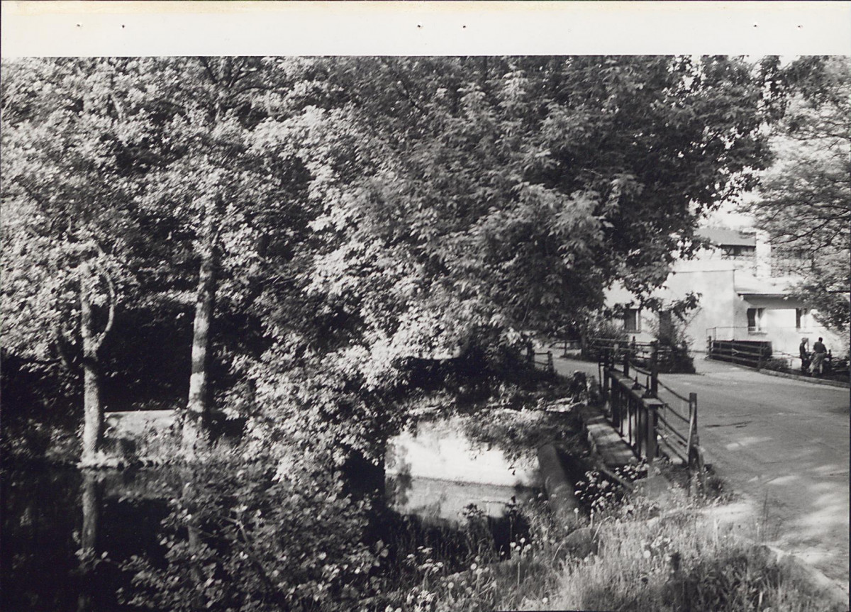 EP - Ewidencja parkowa, skan nr 21