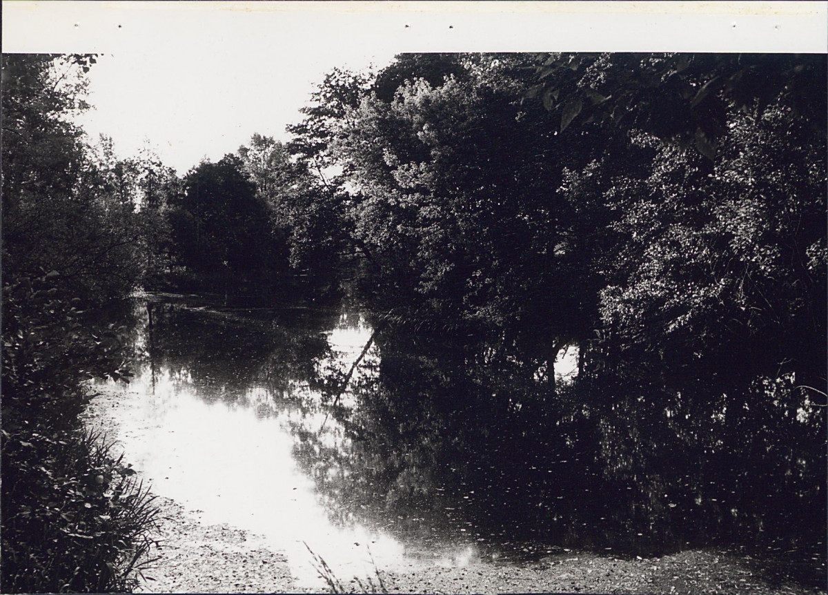 EP - Ewidencja parkowa, skan nr 25