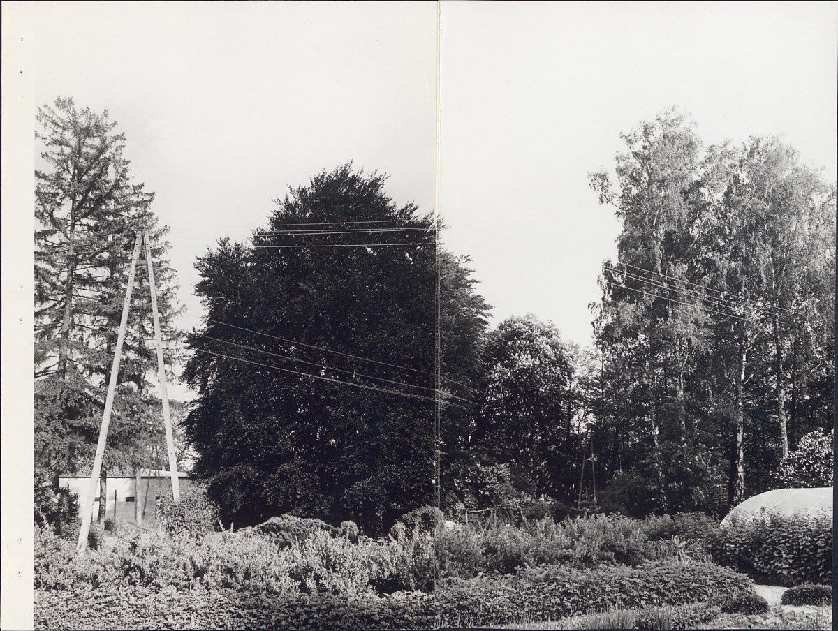 EP - Ewidencja parkowa, skan nr 27