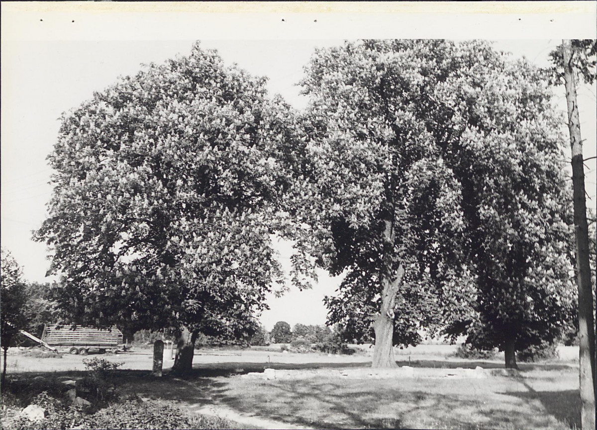 EP - Ewidencja parkowa, skan nr 25