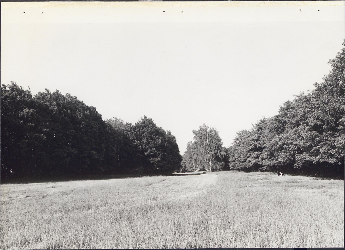 EP - Ewidencja parkowa, skan nr 27