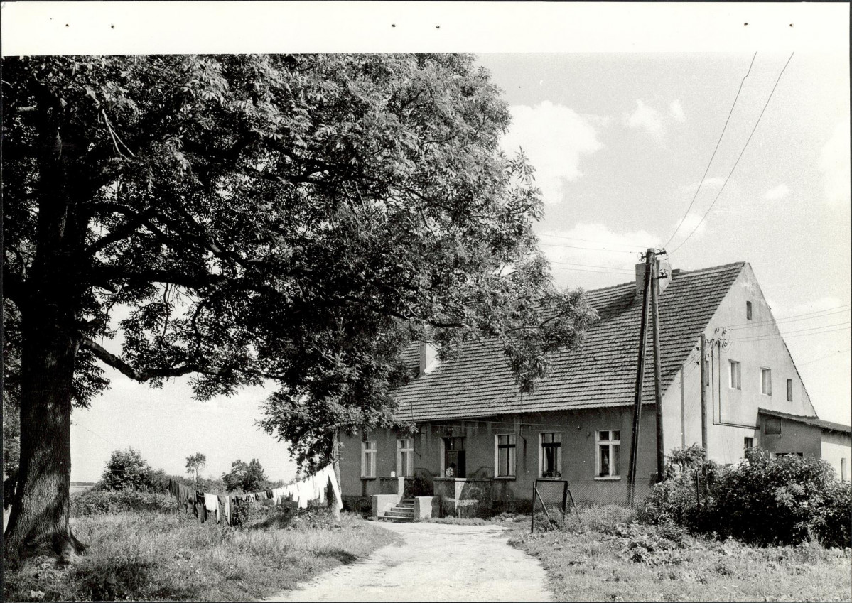 Ewidencja parkowa, skan nr 19
