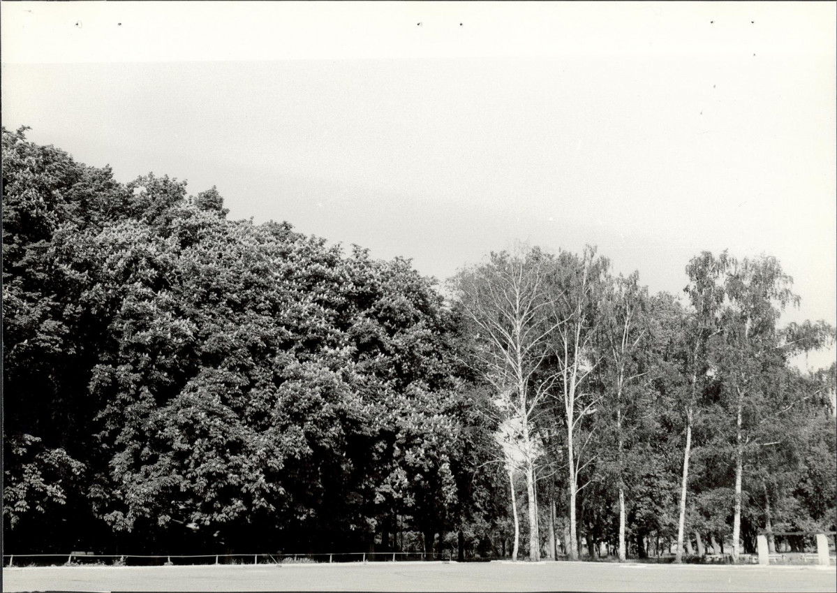 EP - Ewidencja parkowa, skan nr 29