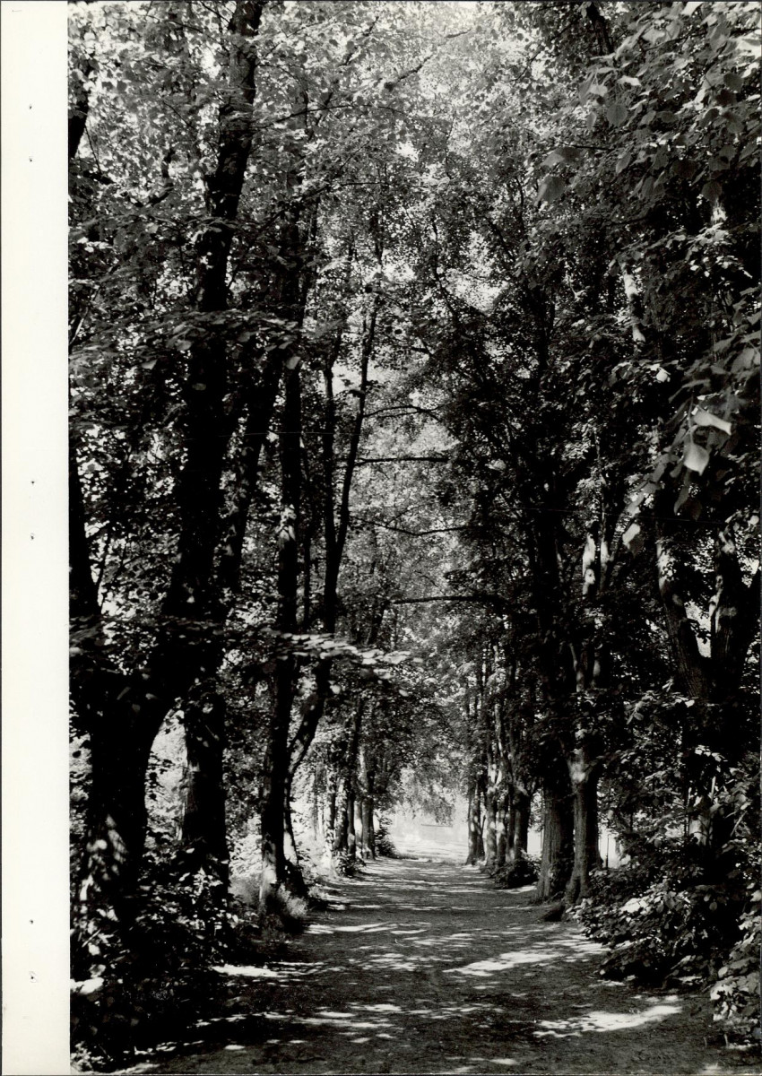 EP - Ewidencja parkowa, skan nr 33