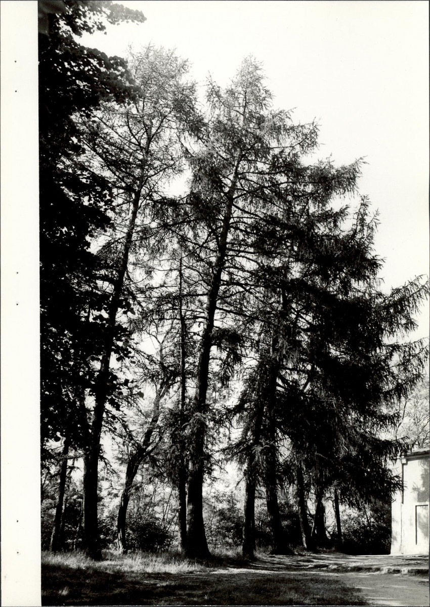 EP - Ewidencja parkowa, skan nr 35