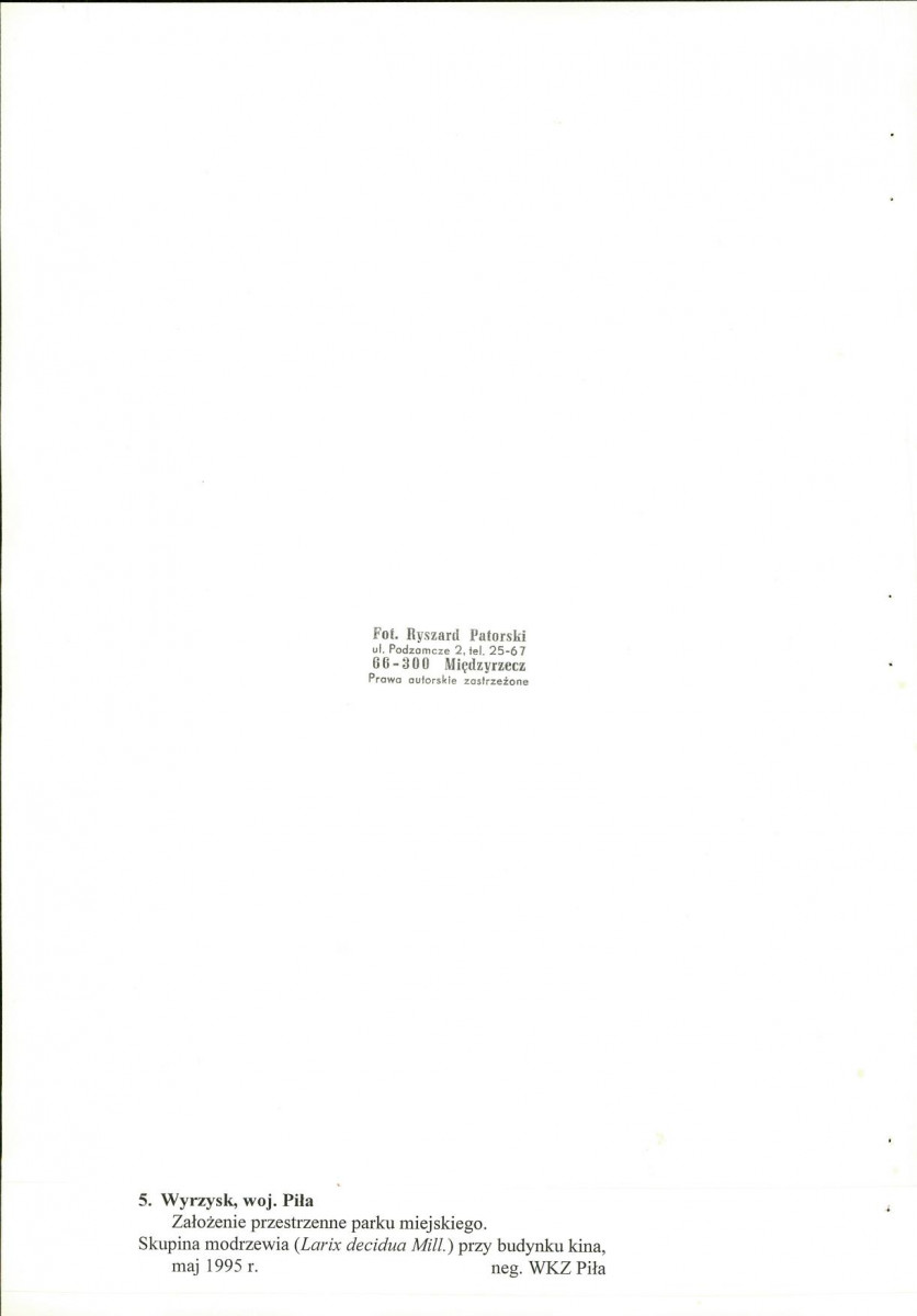 EP - Ewidencja parkowa, skan nr 36