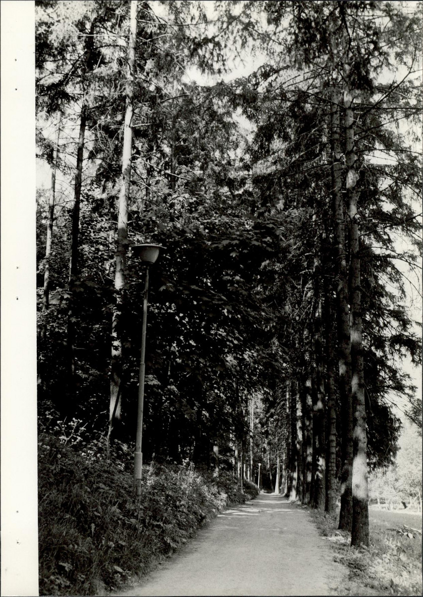 EP - Ewidencja parkowa, skan nr 37