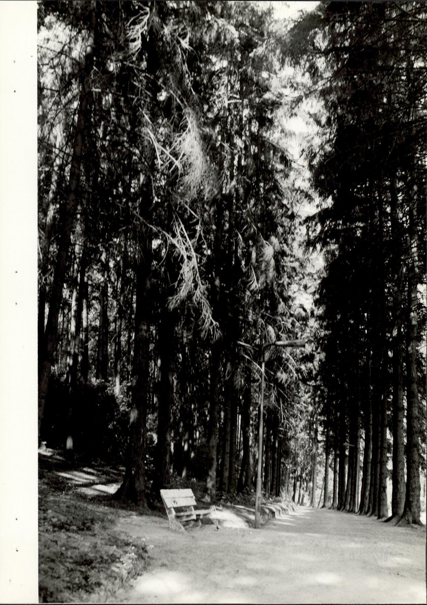 EP - Ewidencja parkowa, skan nr 39