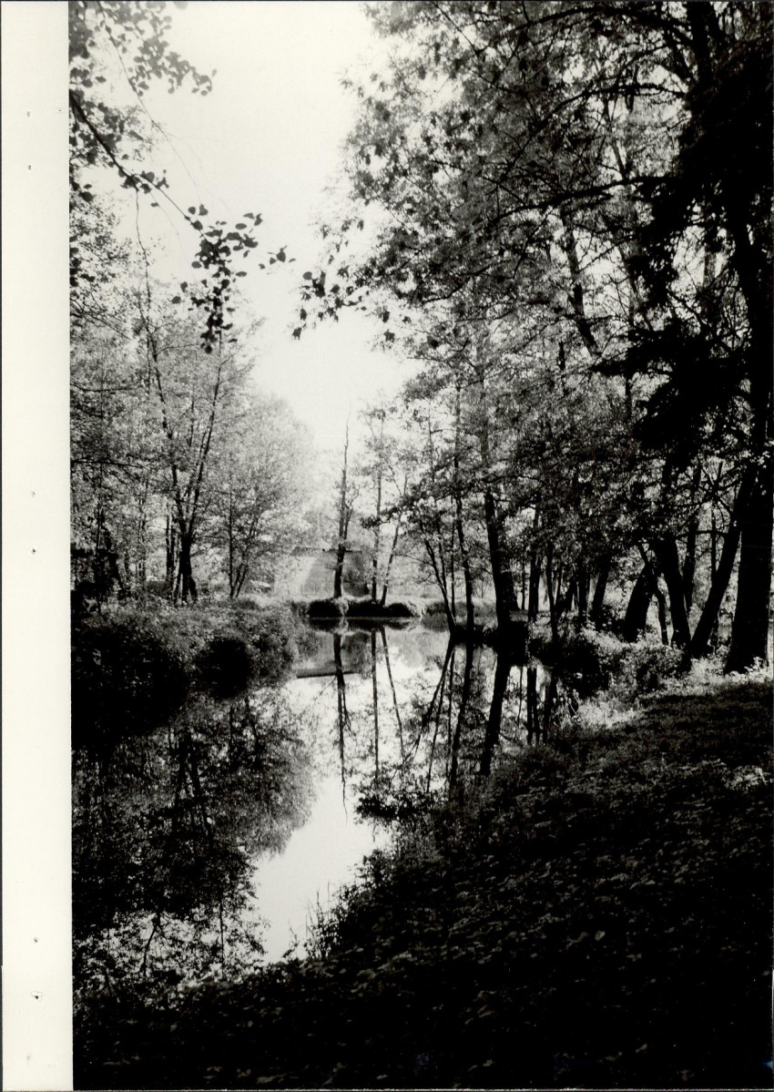 EP - Ewidencja parkowa, skan nr 41