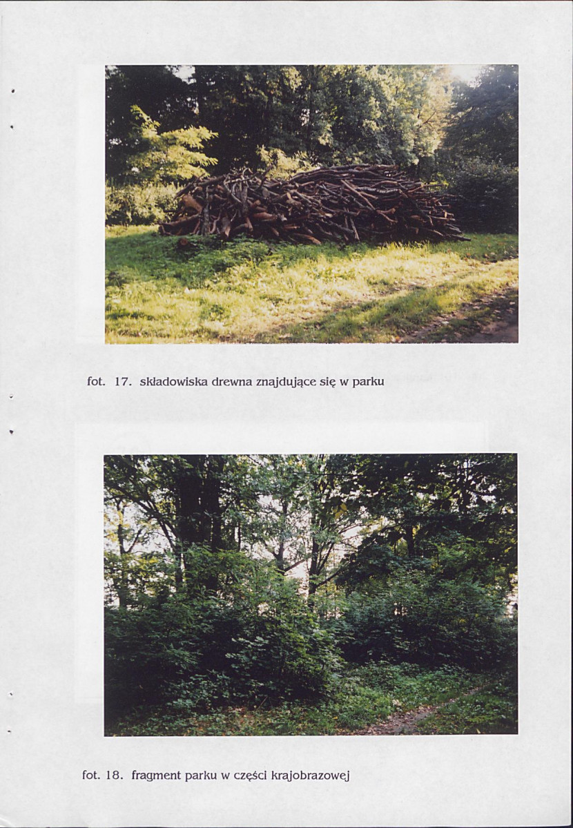 Ewidencja parkowa, skan nr 41