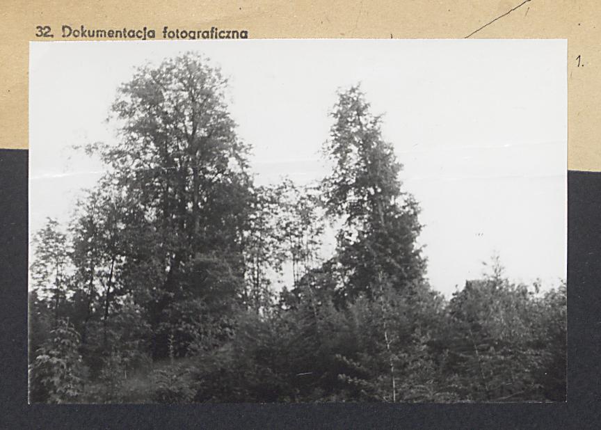 Karta cmentarza, skan nr 4