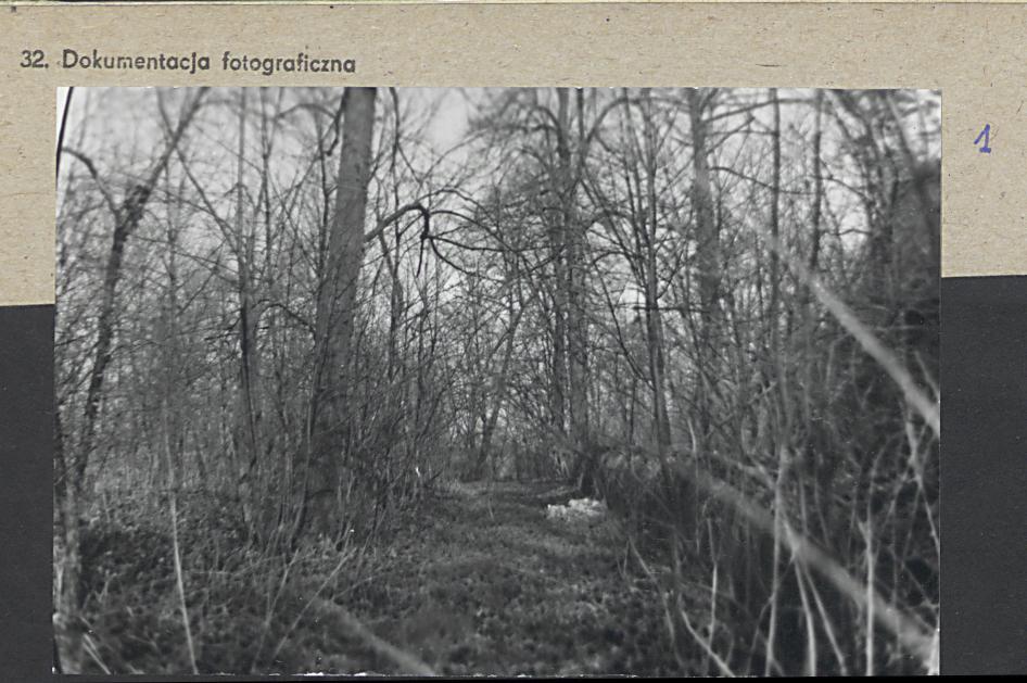 Karta cmentarza, skan nr 4