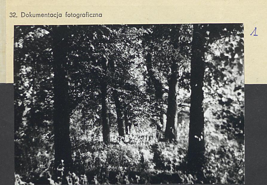 Karta cmentarza, skan nr 5