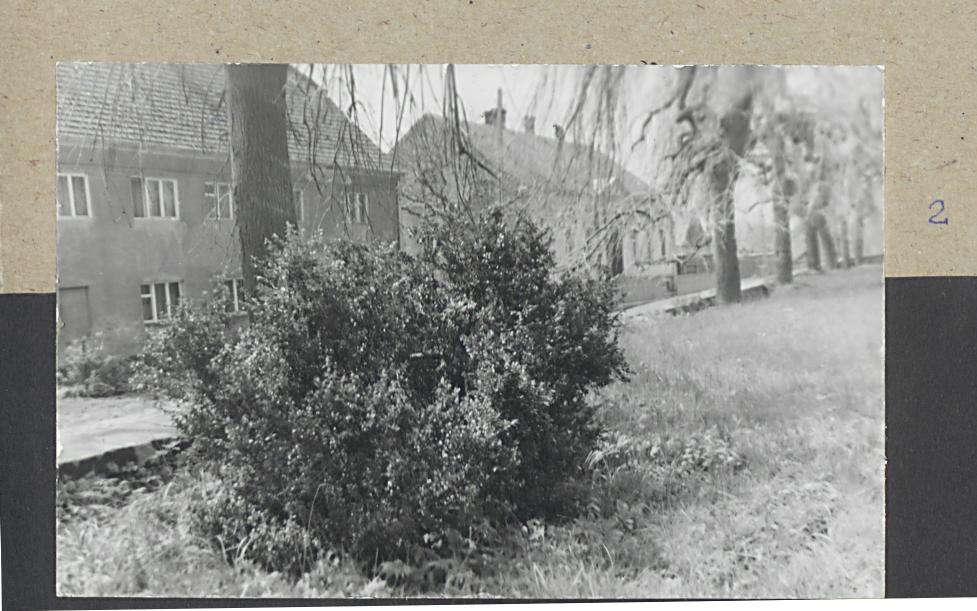 Karta cmentarza, skan nr 5