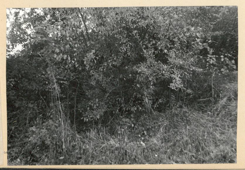 Karta cmentarza, skan nr 6
