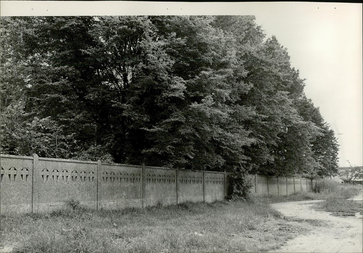 Karta cmentarza, skan nr 15