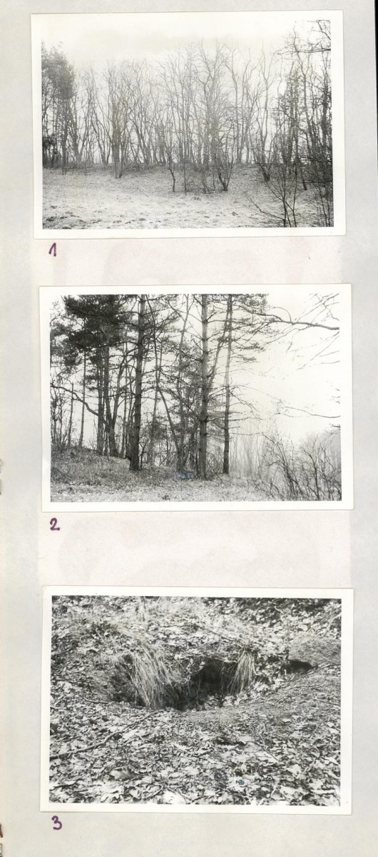 Karta cmentarza, skan nr 4