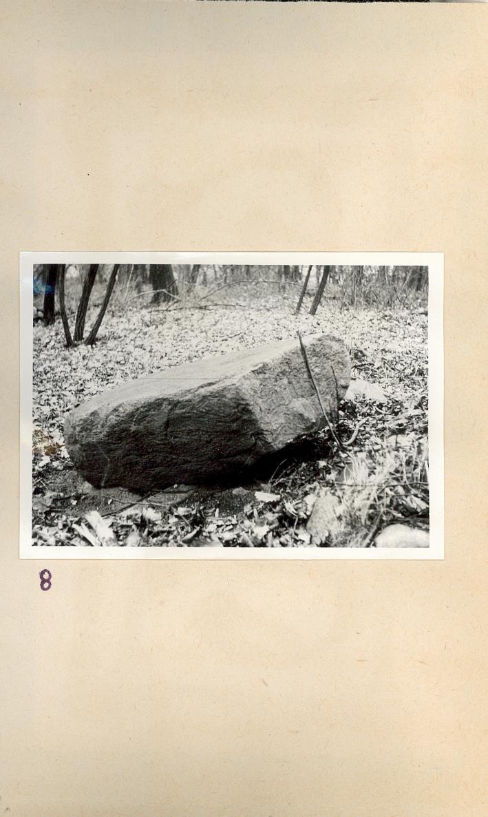 Karta cmentarza, skan nr 7