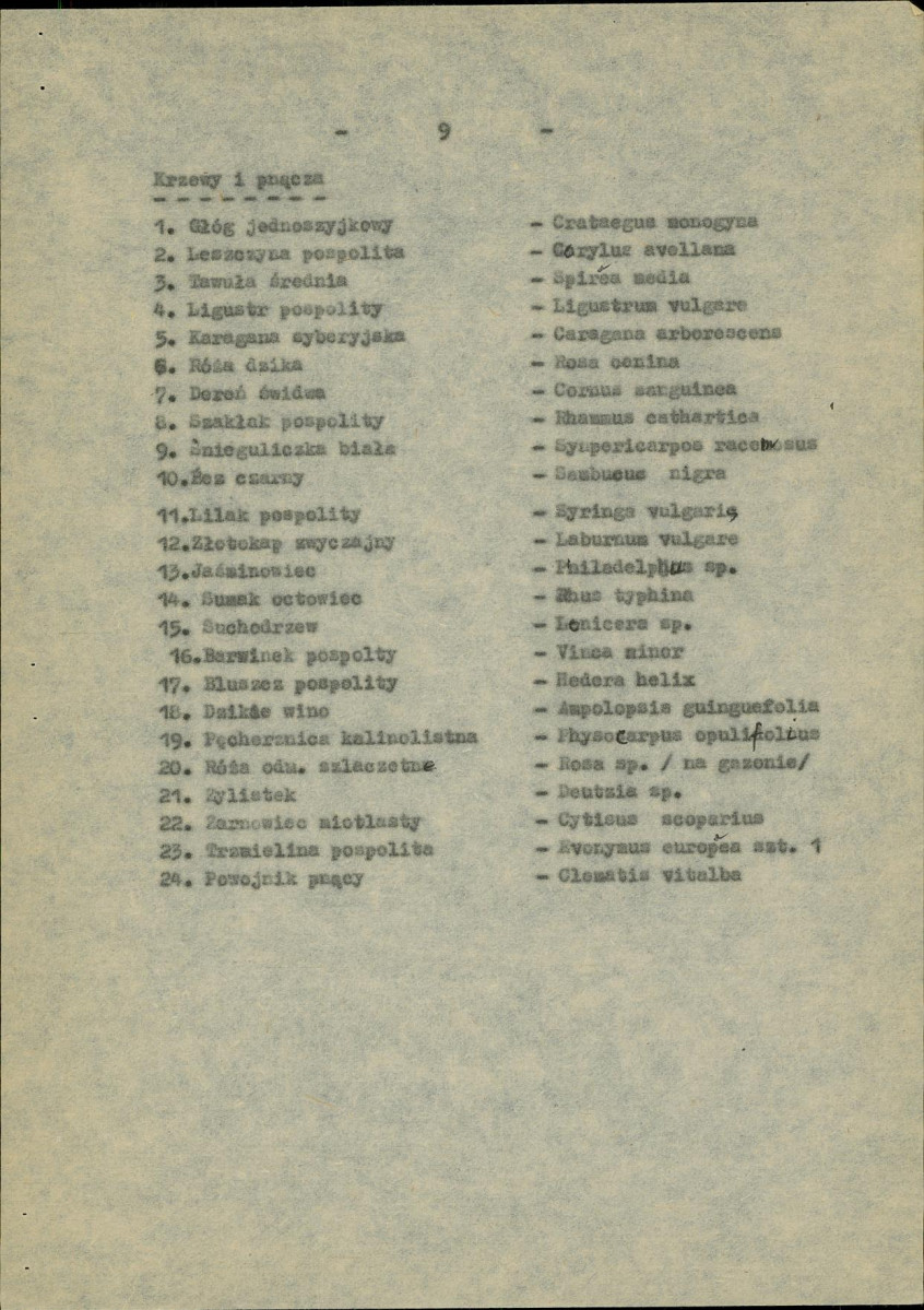 Ewidencja parkowa, skan nr 13
