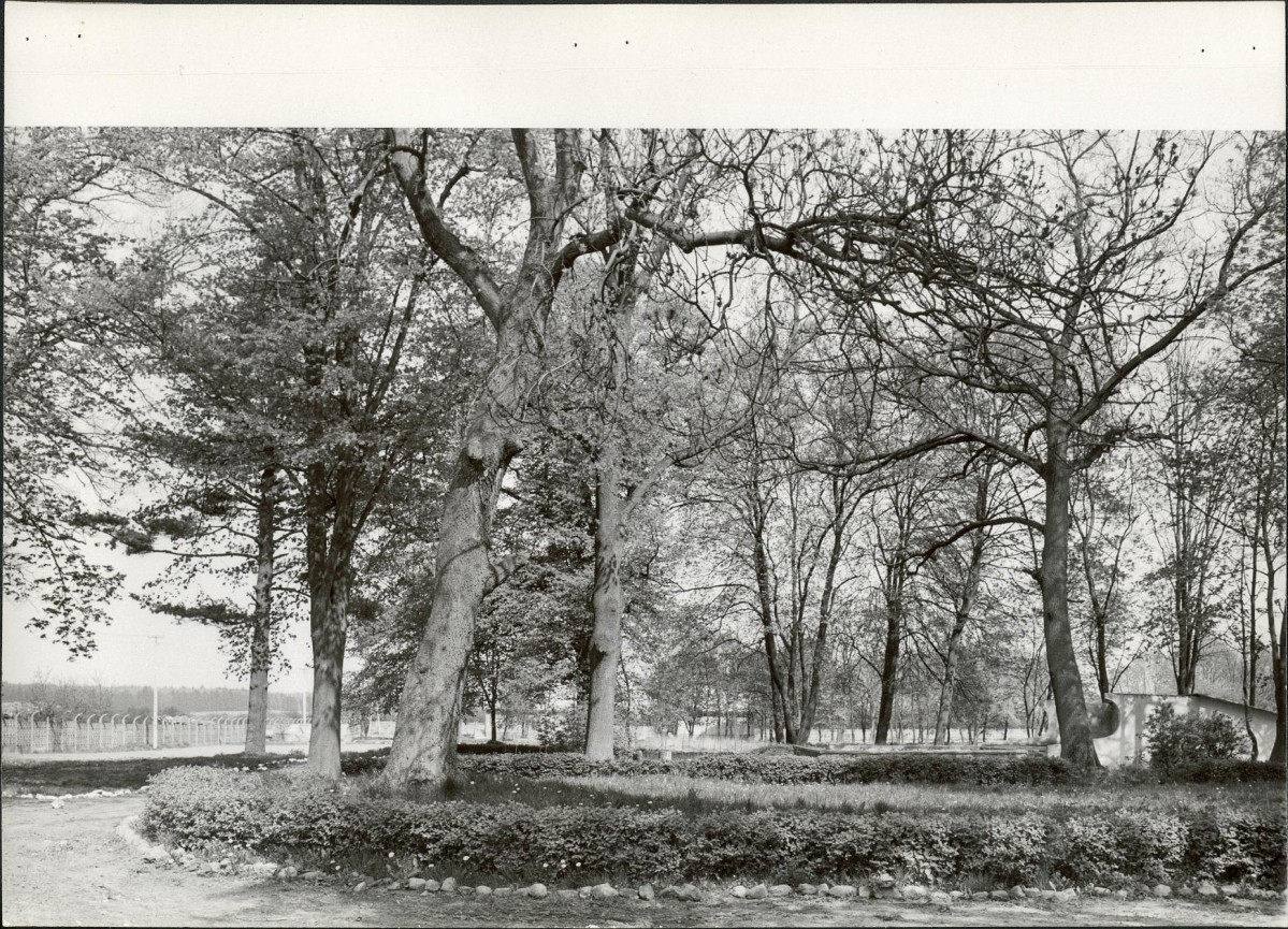 Ewidencja parkowa, skan nr 20