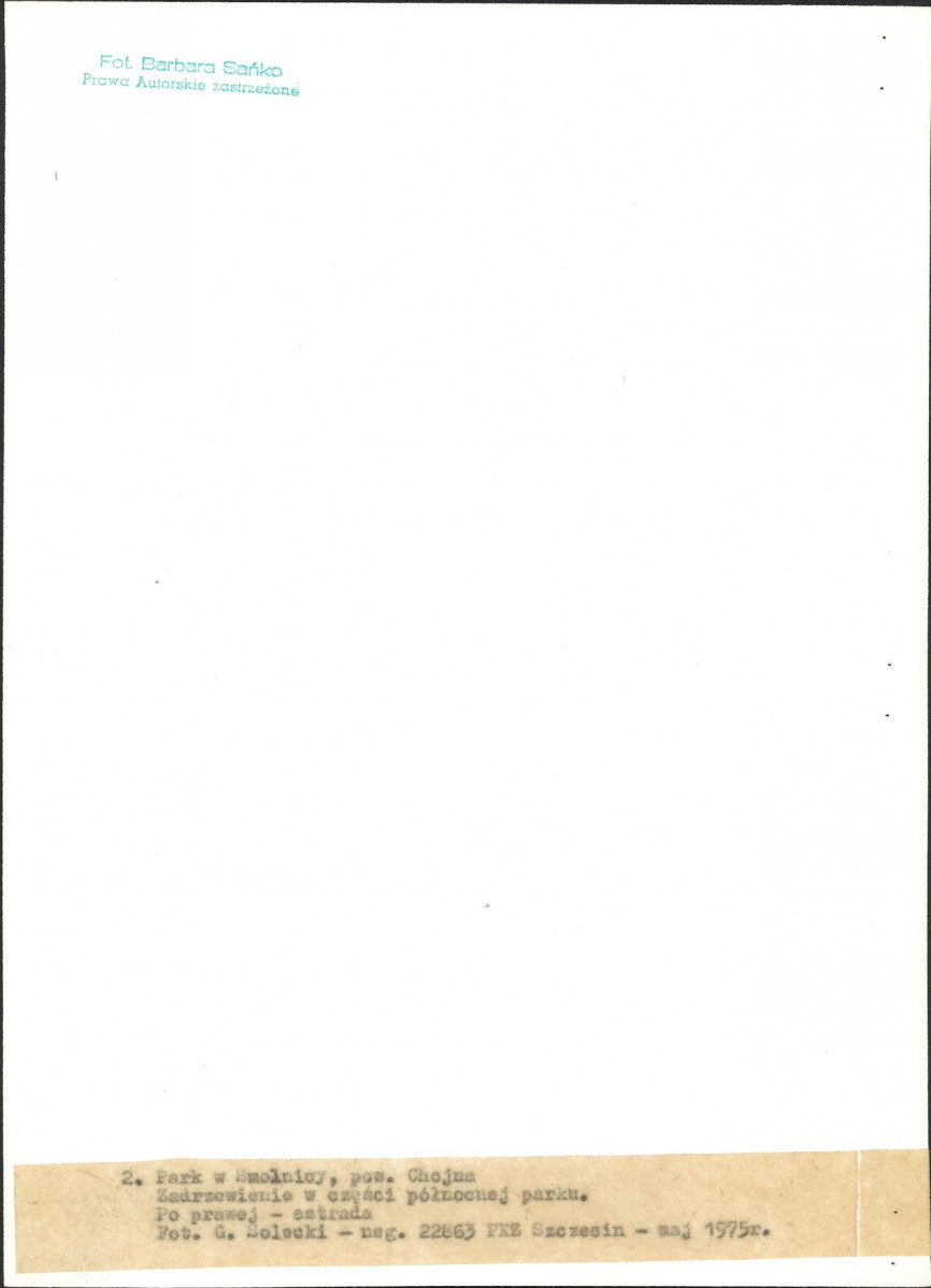 Ewidencja parkowa, skan nr 21
